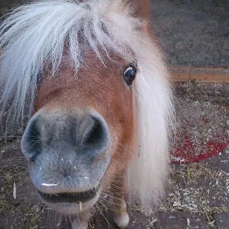 Restaurant & Freudenthal Konukevi