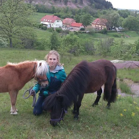 Restaurant & Freudenthal