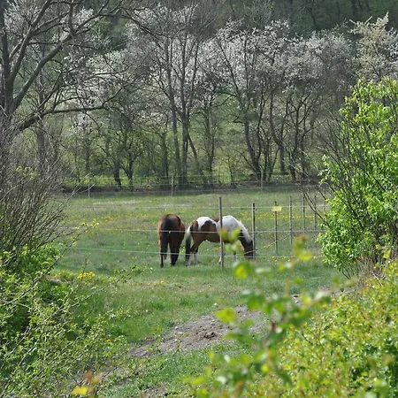 Restaurant & Freudenthal * Wandersleben