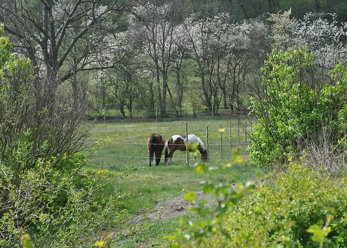 Restaurant & Freudenthal * Wandersleben